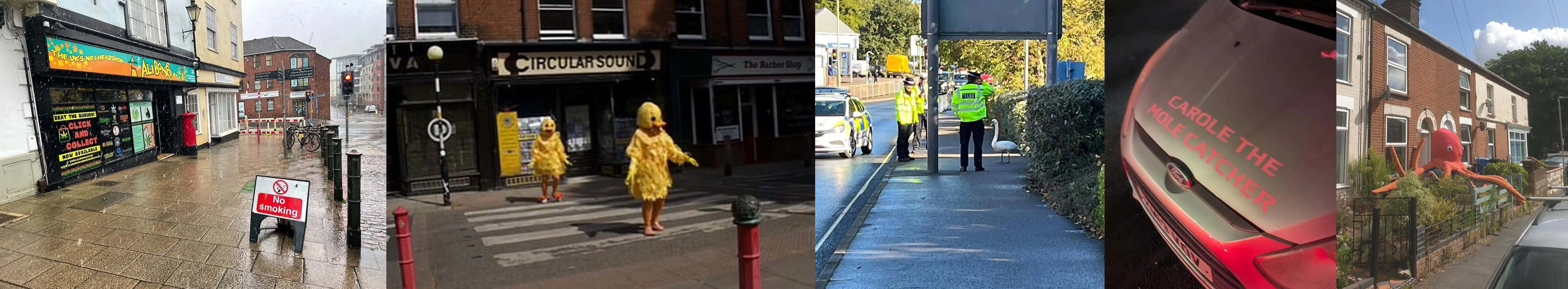 Collection of instagram posts from Wyrd Norwich